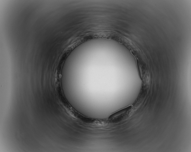 X0000088400764200705220821