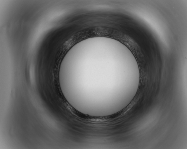 X0000088400765200705220821