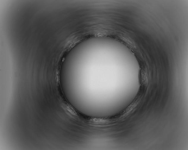X0000088400766200705220821