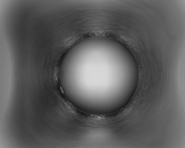 X0000088400768200705220821
