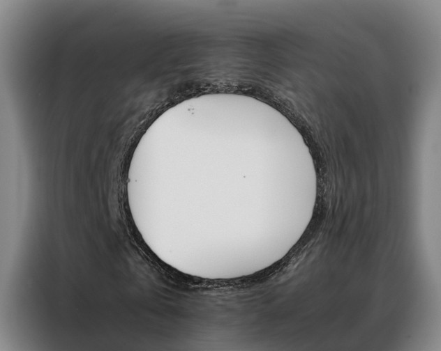 X0000088400769200705220821