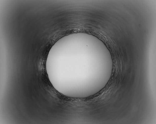 X0000088400770200705220821