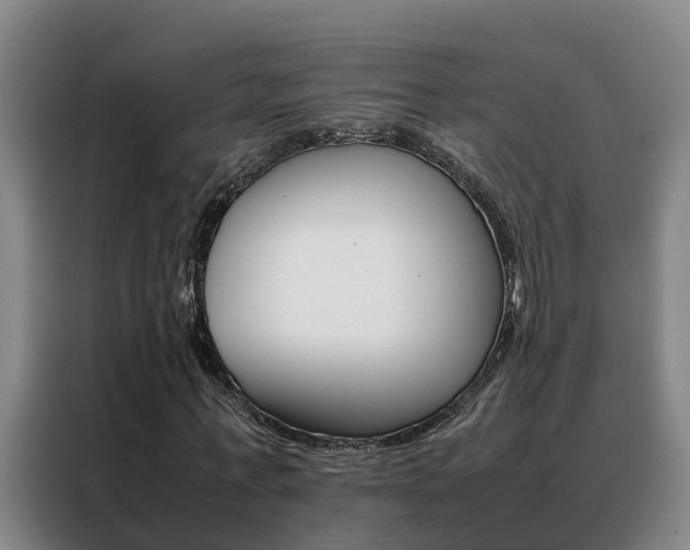 X0000088400771200705220821