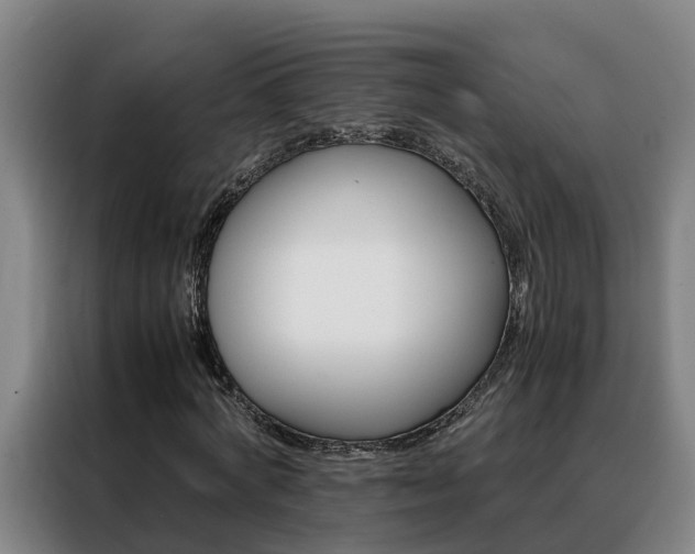 X0000088400772200705220821