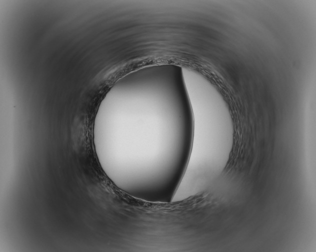 X0000088400773200705220821