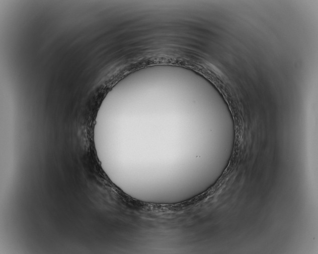 X0000088400774200705220821