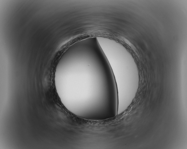 X0000088400775200705220821