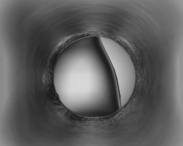 X0000088400776200705220820
