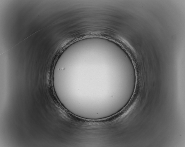 X0000088400777200705220820