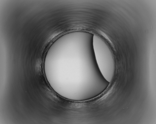 X0000088400778200705220820