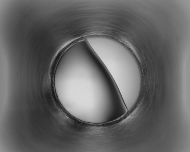 X0000088400779200705220820