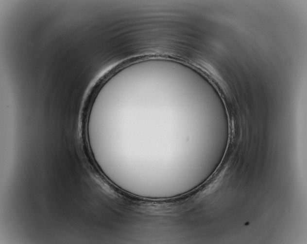 X0000088400780200705220820