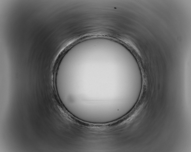 X0000088400781200705220820