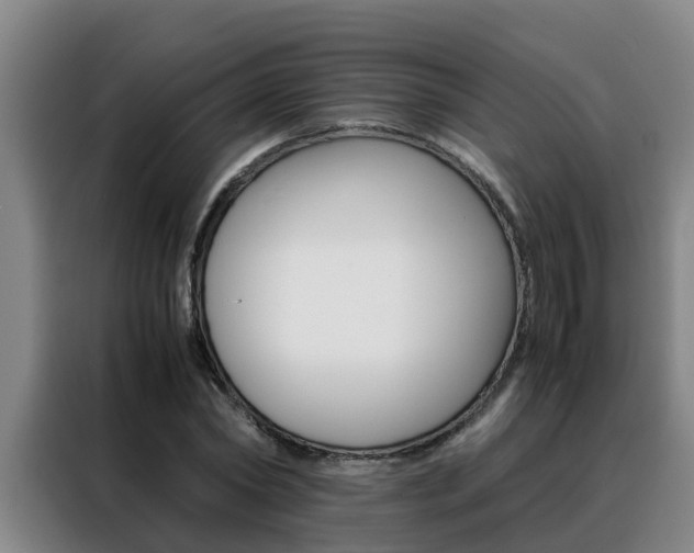 X0000088400782200705220820