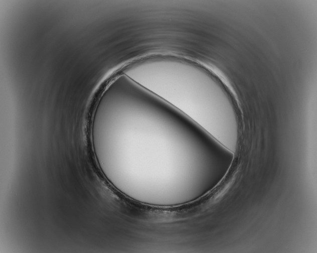 X0000088400783200705220820