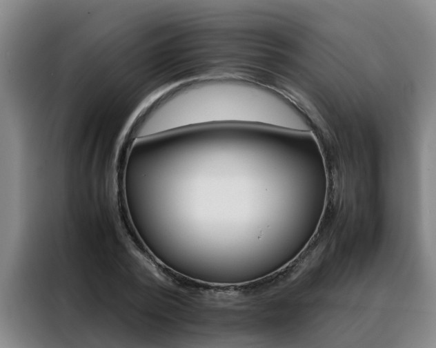 X0000088400784200705220820