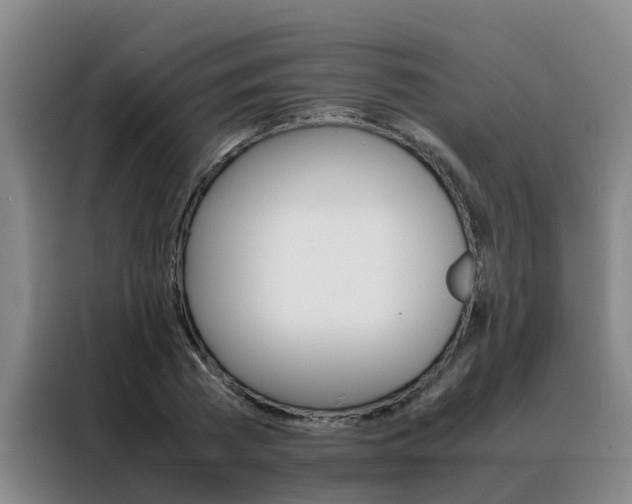 X0000088400785200705220820
