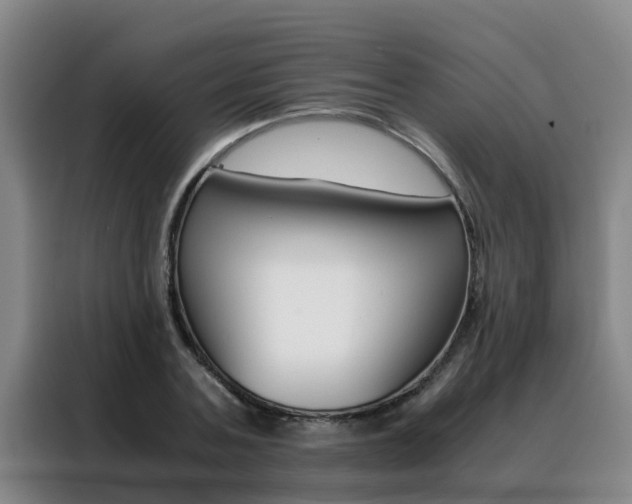 X0000088400787200705220820