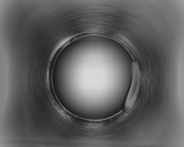 X0000088400788200705220820