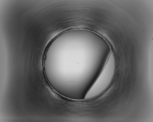 X0000088400789200705220820