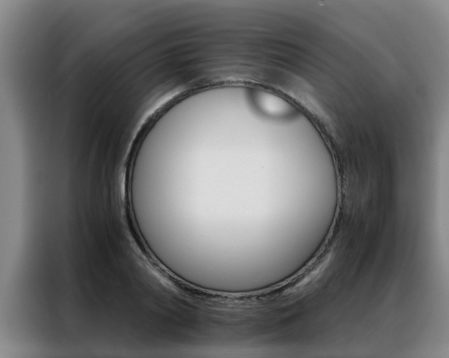 X0000088400790200705220820