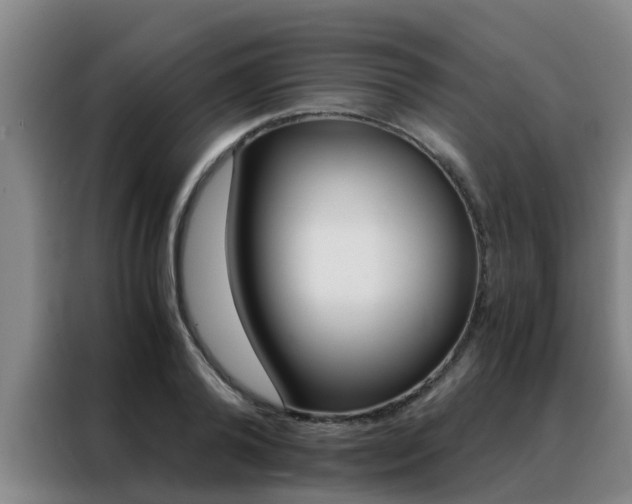 X0000088400792200705220820