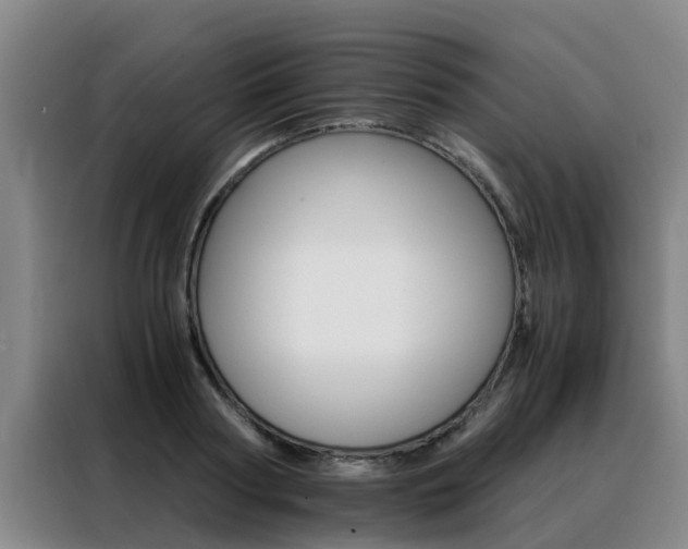 X0000088400794200705220820