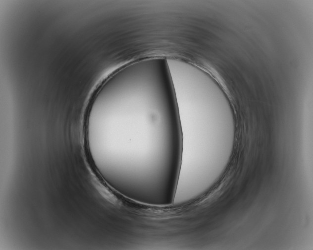 X0000088400795200705220820