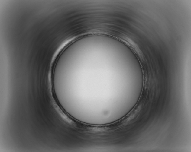 X0000088400796200705220820
