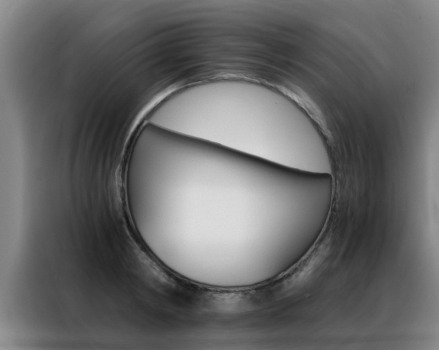 X0000088400798200705220820