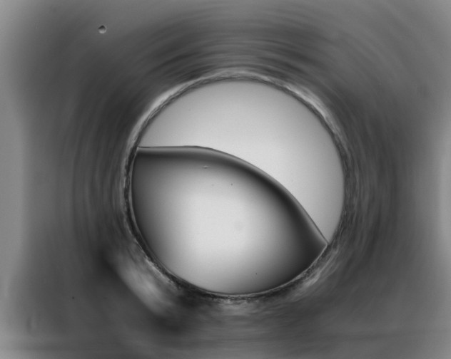 X0000088400799200705220820