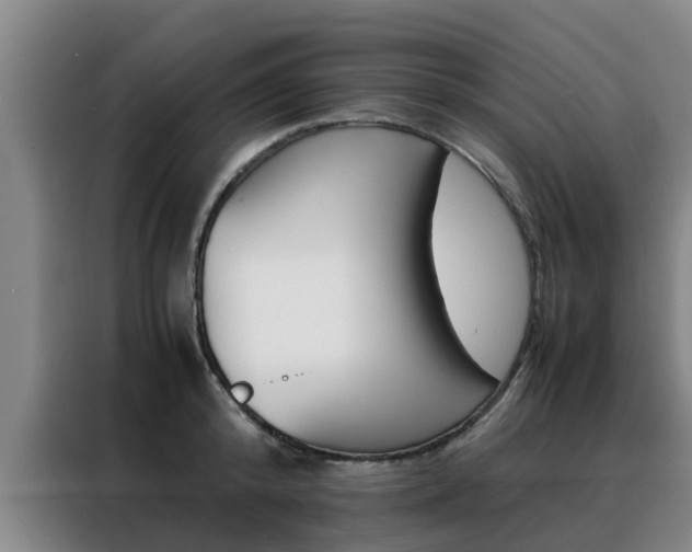 X0000088400800200705220820