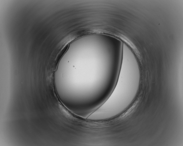 X0000088400801200705220820