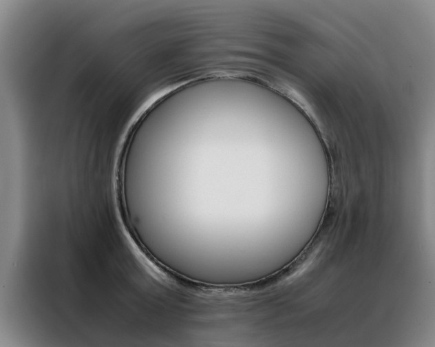 X0000088400803200705220820