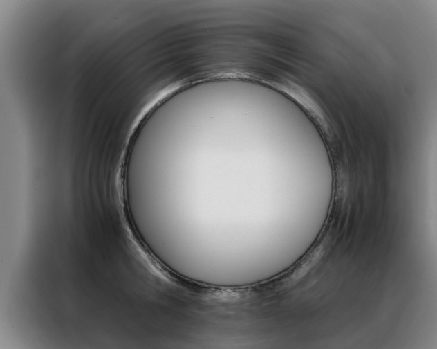 X0000088400806200705220820