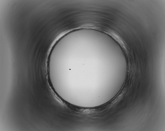 X0000088400808200705220820