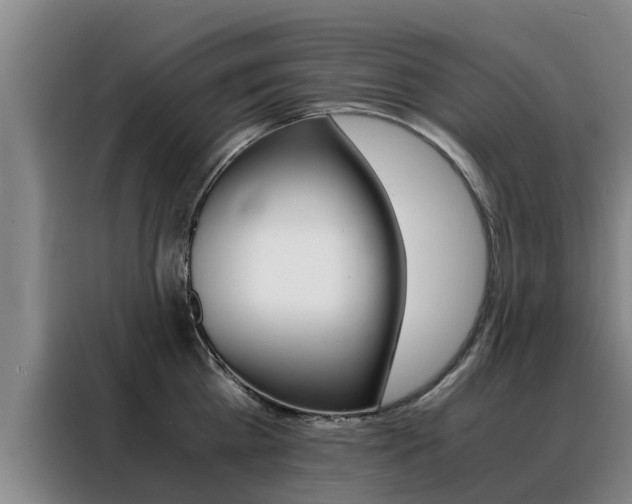 X0000088400809200705220820
