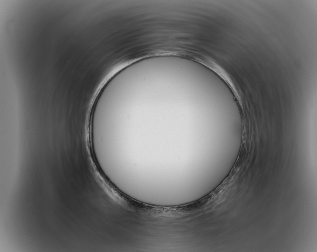 X0000088400811200705220820