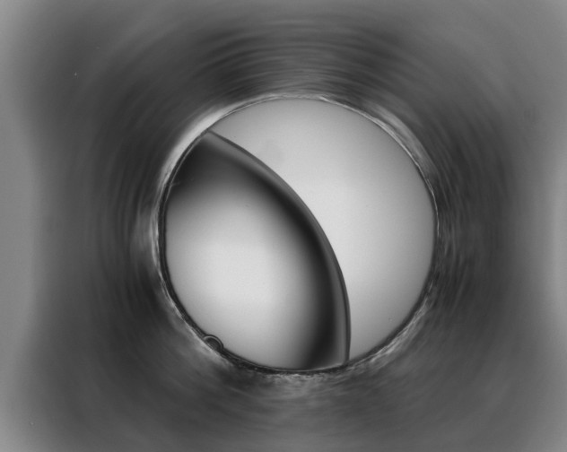 X0000088400812200705220820
