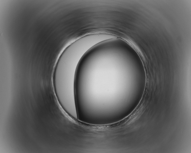 X0000088400813200705220820