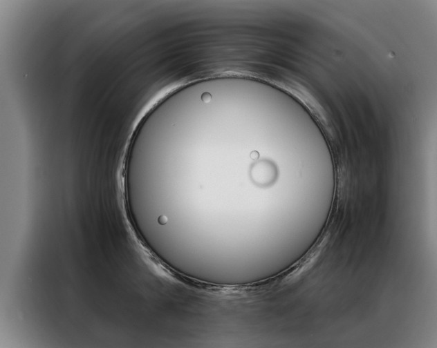 X0000088400814200705220820