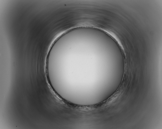 X0000088400815200705220820