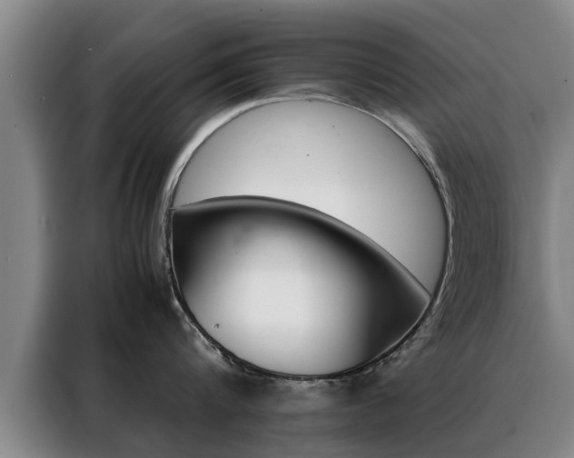 X0000088400816200705220820