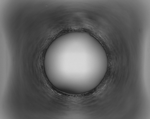 X0000088400817200705220819