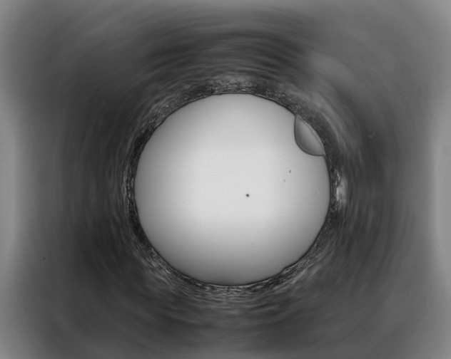 X0000088400819200705220819