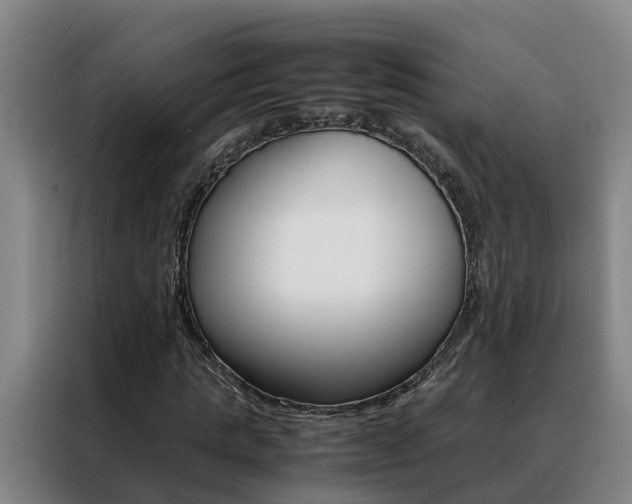 X0000088400821200705220819