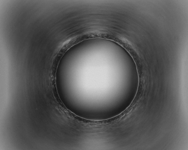 X0000088400822200705220819