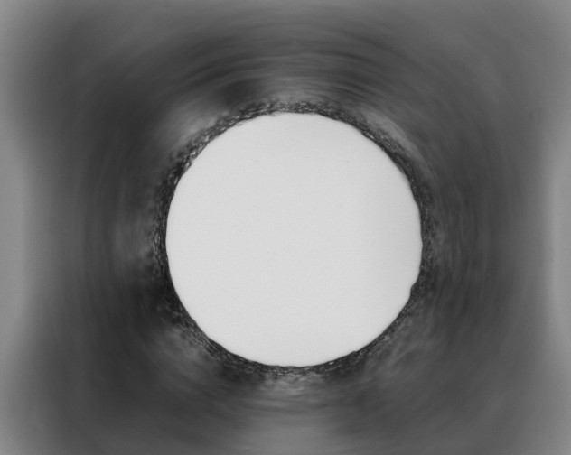 X0000088400824200705220819