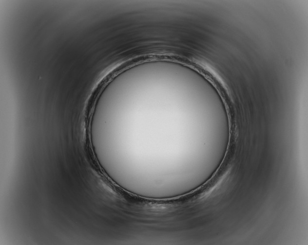 X0000088400829200705220819