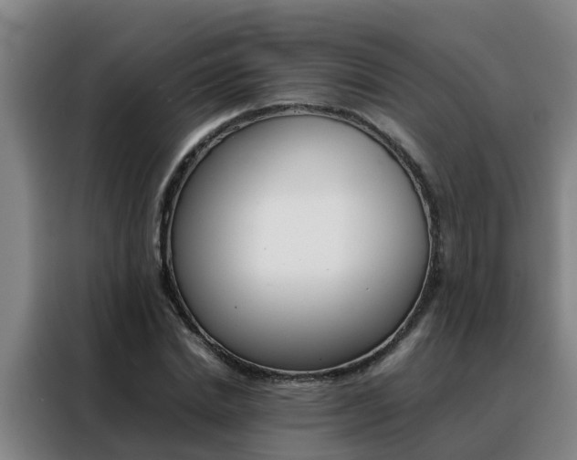 X0000088400830200705220819